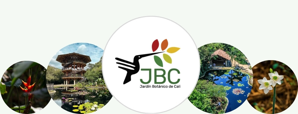Jardín Botánico